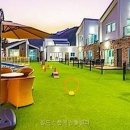 골드스푼애견풀빌라