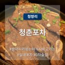 청량리 맛집, 매주 가는 인생 노포 <청춘포차>