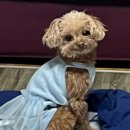 강남대로6길 12 이미지