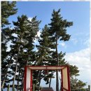 고릴라펜션 이미지