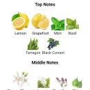 만다리노 이미지