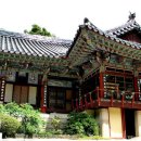 동화사 - 1115 | 동화사