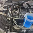 오거리카 이미지