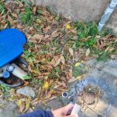 분성체육공원 옥외화장실 | 김해 삼계동 누수탐지 김해시민체육공원 대형 누수탐지 작업 후기