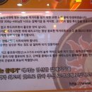 불타는갈매기 이미지