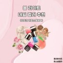 네일바이조