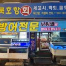 묵호항세꼬시