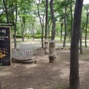 나무고아원 이미지