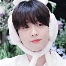 플라워파티