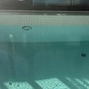 스테이다옴 이미지