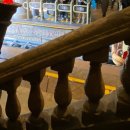 퍼피플 오산점 | 둘이 가서 같이 탄게 손에 꼽는 히않한 롯데월드 후기