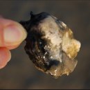 태안펜션더홈 이미지