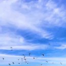 용머리공인중개사사무소 이미지