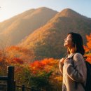 해인사 소리길 | 합천 해인사 소리길 단풍, 11월 절정기 여행 솔직 후기