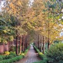 숭실대학교 중소기업대학원 이미지