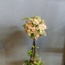 플라워디자인 이미지