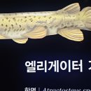 아쿠아리움에서🐳 이미지