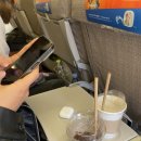 12박 여행 day1. 호주 비자 문제로 출국 못할뻔 한 썰, 멜번 입국 심사 후기, 중국 동방항공 경유 멜버른