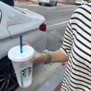 stadium of dogs | 7월 셋째 주 일상 입니다람쥐 🫶🏻