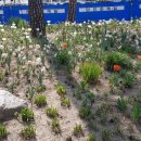 필 행정사사무소 이미지