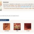 지인내과의원 네이버블로그