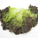 컬럼비아치과병원 이미지