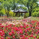퀸스쇼핑
