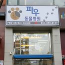 파우 동물병원 이미지