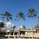 발리 호스텔 | 발리 짱구 숙소 코스원 호스텔(kos one hostel) 이용 후기