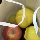 성호네농장 이미지