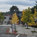 24시명가옥전주콩나물국밥 | 가을은 식욕의 계절, 많이 먹는 계절🍁