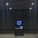 강릉 씨마크 스위트룸 후기, 코너스위트 후기, 이그제큐티브 스위트룸 후기