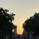 레philosophes | 여행, 파리 맛집, 프랑스 음식 마레 지구 맛집 추천, rillettes, 뵈프 부흐기뇽이 맛있는 les philosophes