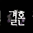 수림결혼정보 이미지