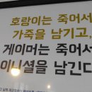 옥인오락실 이미지