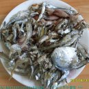 방개농장 이미지