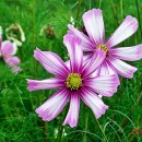 지하철 양산역 이미지