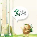 살림모바일