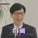 돼지에서 소까지 이미지