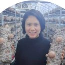 버섯생농장 이미지