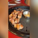 보은특별시