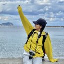 마항농장 | 일본 벳푸 여행 규슈 올레길 투어 스기노이호텔 온천 소도시 여행 추천