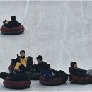 용인대 참 태권도장 이미지