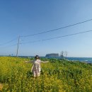 루이 925 이미지