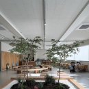 내돈내산] 인천 카페 추천, 인천계양 카페, 검단신도시 카페, (오디와이 카페) 방문후기
