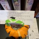까치통닭 이미지