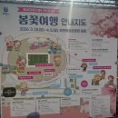 동산 | 서울 근교 봄꽃 명소 부천 원미산 진달래 동산 실시간 개화 후기