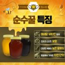 순수 천연벌꿀100% 아카시아, 잡화꿀 50% 맛보기 이벤트 이미지