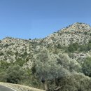 운전교차로목장 이미지