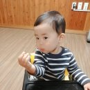 다주헌